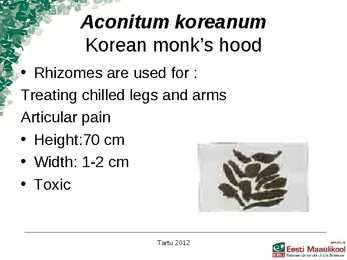 Presentation Medical plants in korea #3