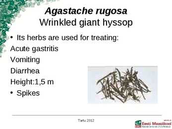 Presentation Medical plants in korea #5