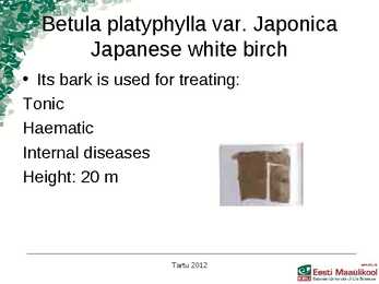 Presentation Medical plants in korea #6