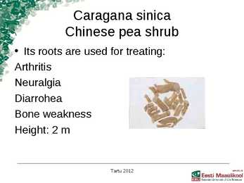 Presentation Medical plants in korea #7