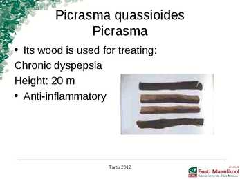 Presentation Medical plants in korea #8