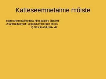 Katteseemnetaimed #2