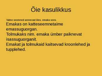Katteseemnetaimed #3