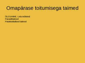 Katteseemnetaimed #6