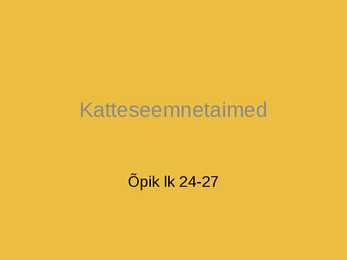 Katteseemnetaimed