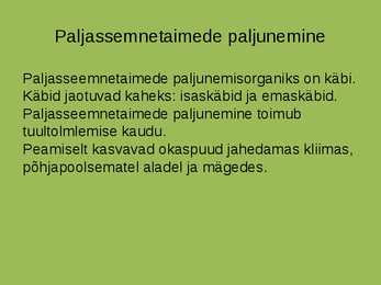 Lühike konspekt paljasseemnetaimedest #3