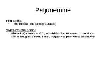 Kuldking #4