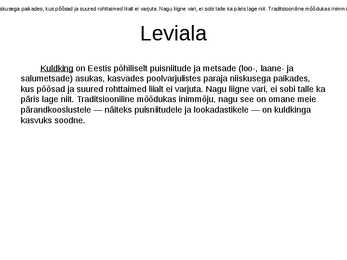 Kuldking #6
