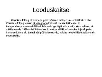 Kuldking #8