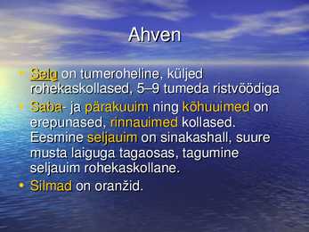 Nakkevõrkude selektiivsus ahvenapüügill POWERPOINT #4