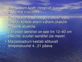 Nakkevõrkude selektiivsus ahvenapüügill POWERPOINT #7