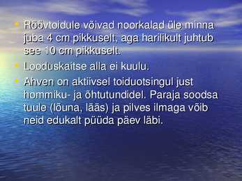 Nakkevõrkude selektiivsus ahvenapüügill POWERPOINT #8