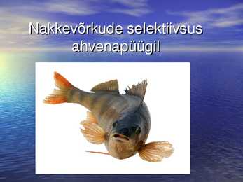 Nakkevõrkude selektiivsus ahvenapüügill POWERPOINT