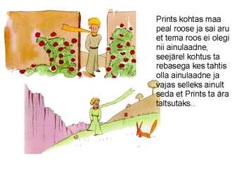 Lühikokkuvõte raamatust \ \ Väike Prints\ \ #11