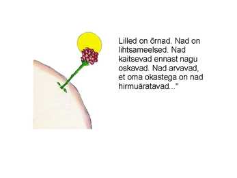 Lühikokkuvõte raamatust \ \ Väike Prints\ \ #7