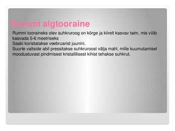 Rummid-Powerpoint #4