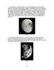 Planeet Saturn #10