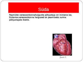 Südame veresoonkonna haigused #2