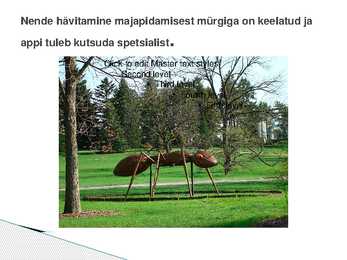 Metsakuklane #11