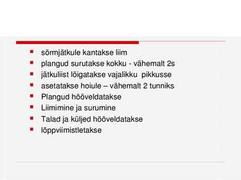 Liimpuidust konstruktsioonide ning liimpuitplaatide tootmine Eestis #6