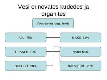 Vedelik ja sport #7