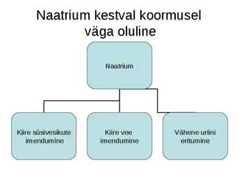 Vedelik ja sport #76