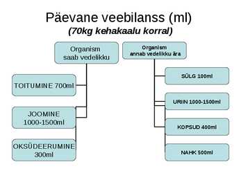 Vedelik ja sport #9