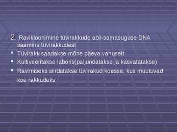 Nimetu #8