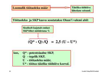 Loeng 2 - Sisemajanduslik kogutoodang #20