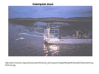 Erilised püügiviisid #6