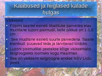 KALADE KEHAKUJU powerpoint #14