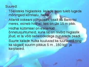 KALADE KEHAKUJU powerpoint #15