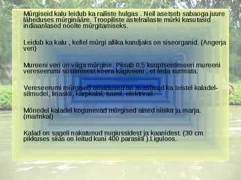 KALADE KEHAKUJU powerpoint #17
