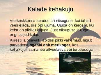 KALADE KEHAKUJU powerpoint #3