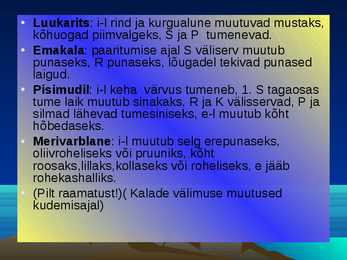 KALADE KEHAKUJU powerpoint #22