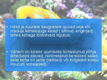 KALADE KEHAKUJU powerpoint #4