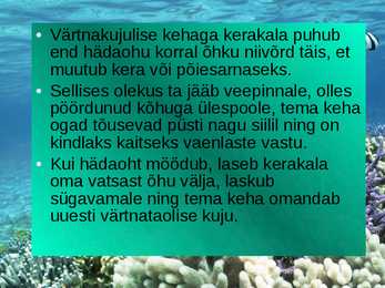 KALADE KEHAKUJU powerpoint #5