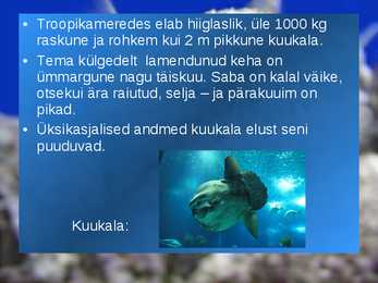 KALADE KEHAKUJU powerpoint #7