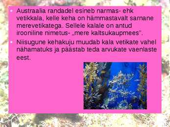 KALADE KEHAKUJU powerpoint #8