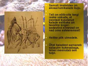 KALADE KEHAKUJU powerpoint #9