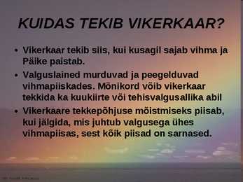 VIKERKAARE POWERPOINT #8
