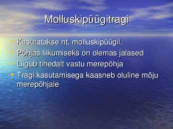 TRAALPÜÜK #8