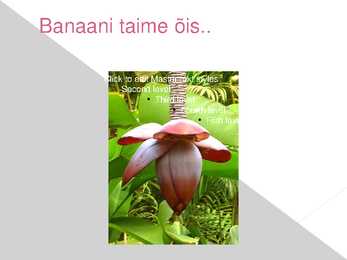 Puuviljad- Banaan #7
