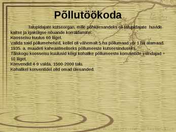 Nõustamistegevus #6