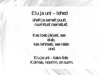 Doris Kareva luule esitlus #10