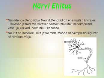 Närvid ja rakud #3