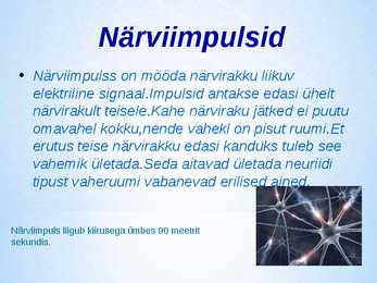 Närvid ja rakud #4