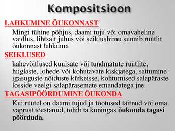 Rüütlikirjanduse esitlus #7