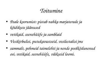 Astacus astacus #13