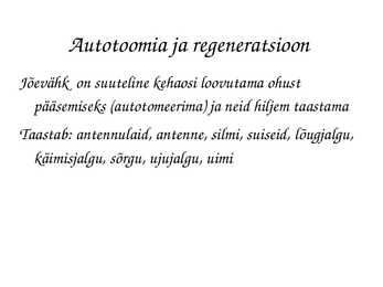 Astacus astacus #15